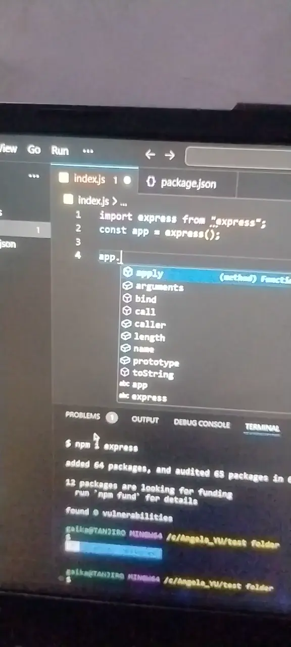 Vs code autocorrect not working while using express or any npm packages