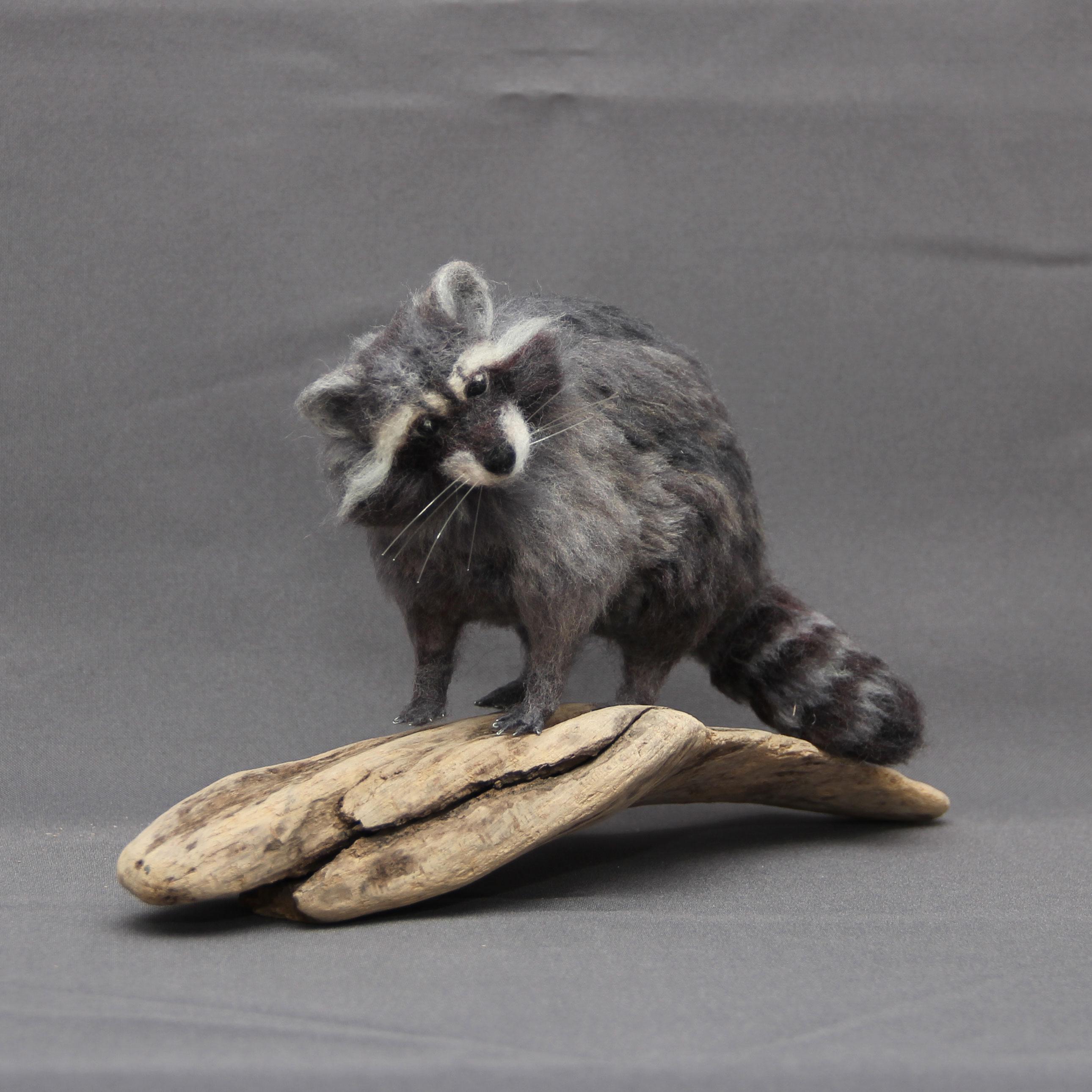 [Self] Needle felted raccoon made by me | Scrolller