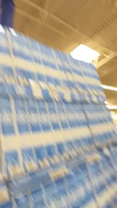 Wacky waving inflatable arm flailing tube man