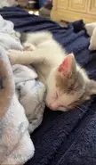 Wake up to this baby