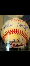 WASP signed baseball Detroit 2022
