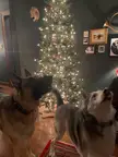 We’re fired up for Christmas here
