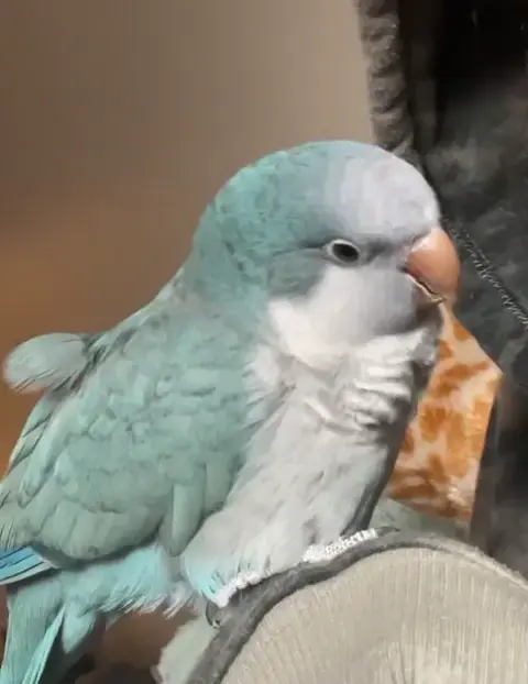 We touched noses 🥹