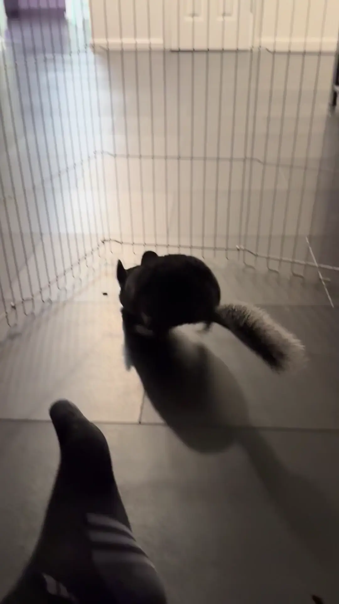 Weird Hopping?