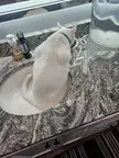 Weird way to eat