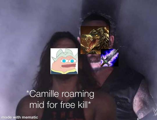 I have gathered the most important Camille data! Her skins from least thicc  (IG) to most THICC (Program) : r/CamilleMains