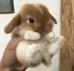 What a CUTIE MY GOODNESS