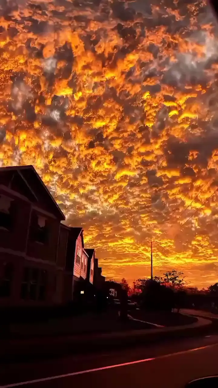 What a sunset 