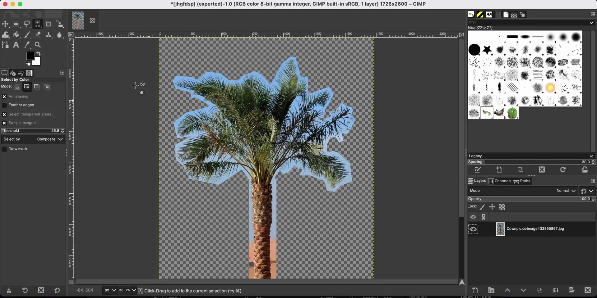 What is the best quick method to remove the sky and sand from this pic? 