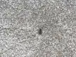 What is this?