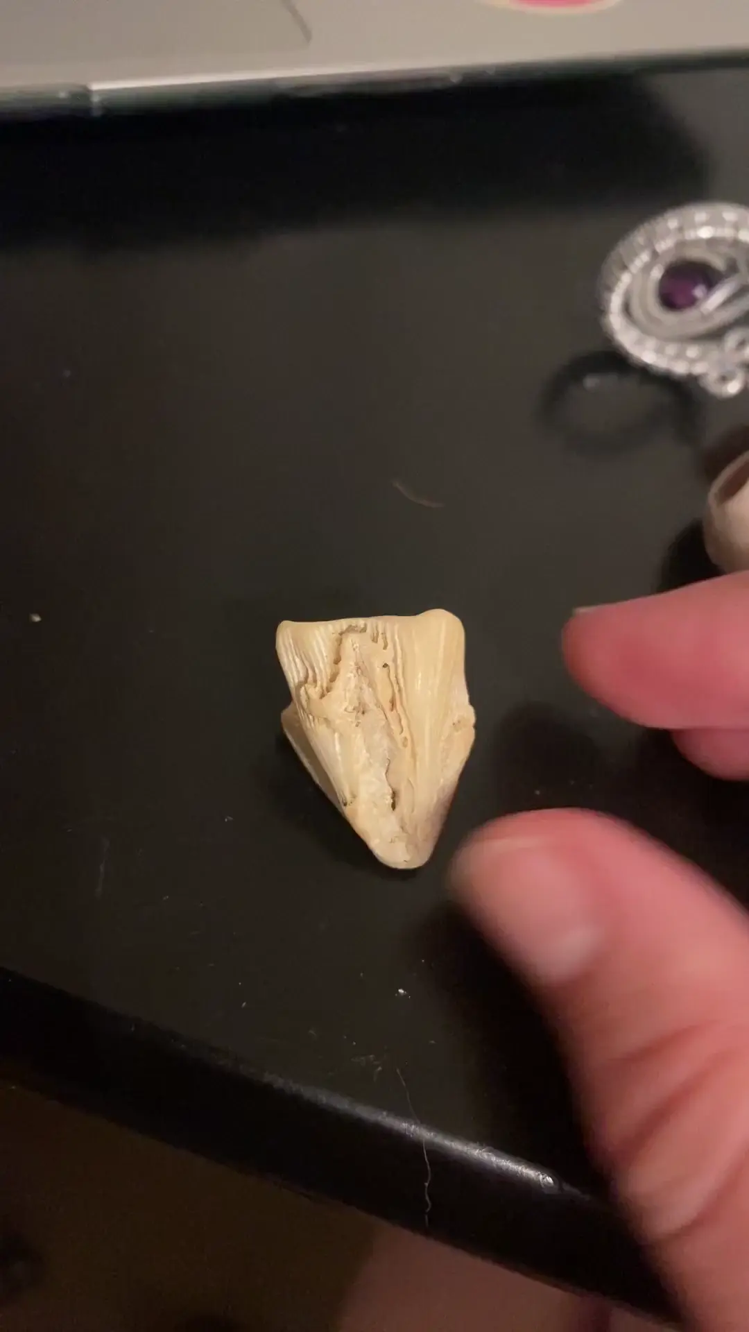 What is this?
