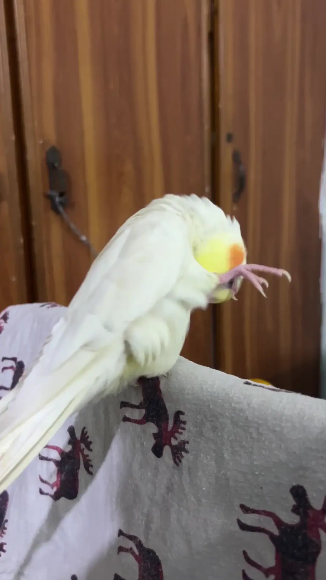 What is wrong with him?