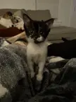 What should I name this little guy? 
