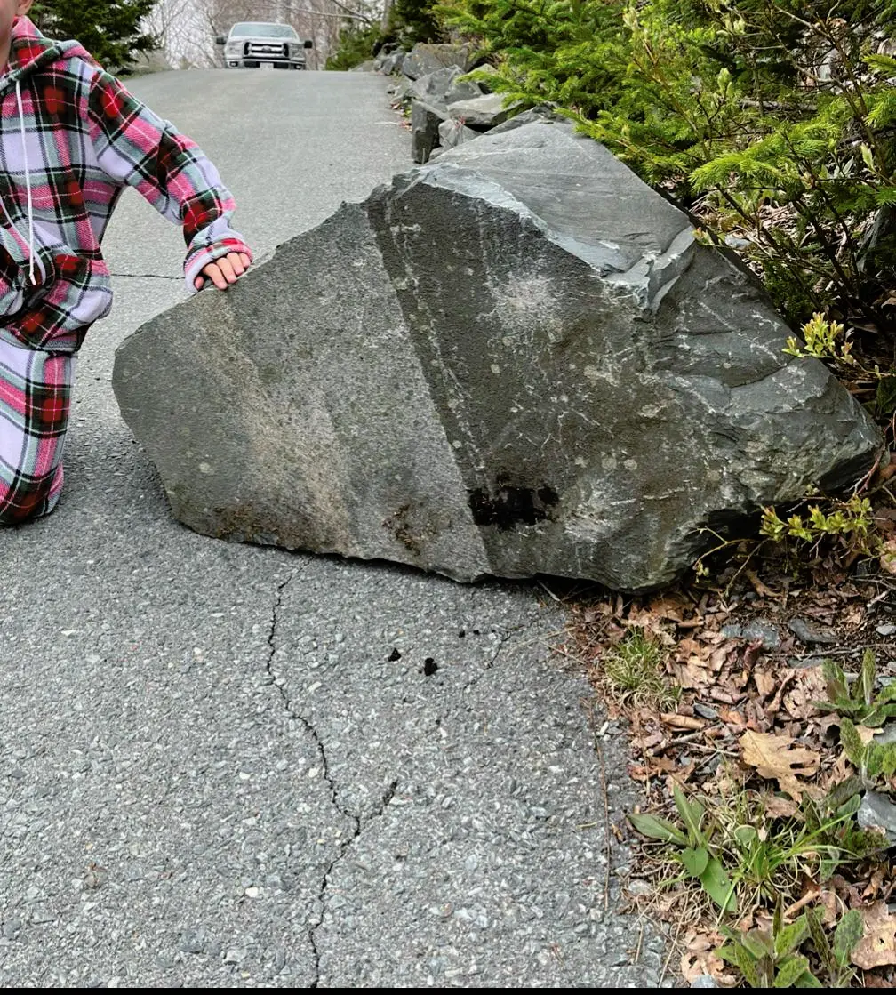 Scrolller Rocks What to do with this rock | Scrolller
