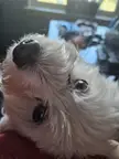 Whatcha eating, dad? I want some. 