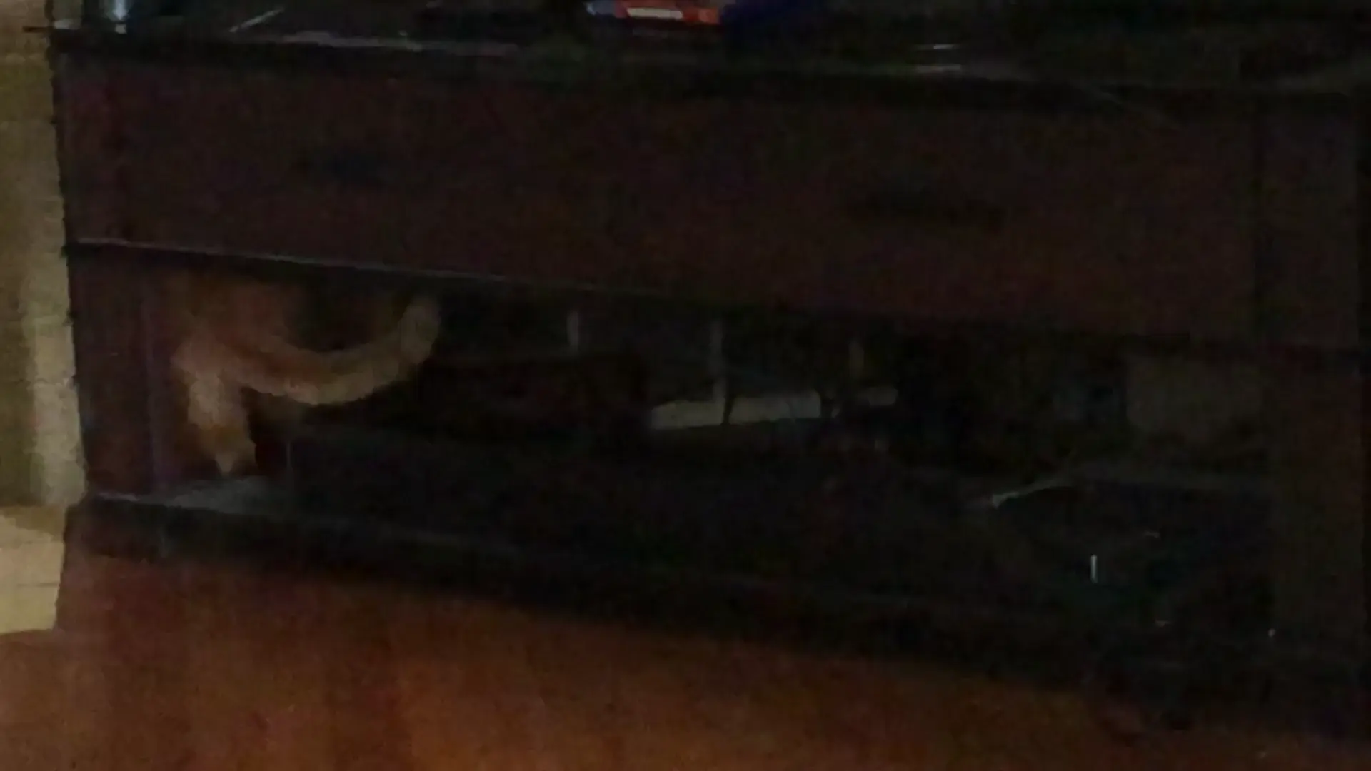 what're you doing?