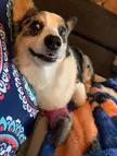 When my lil’ boy broke his toe…