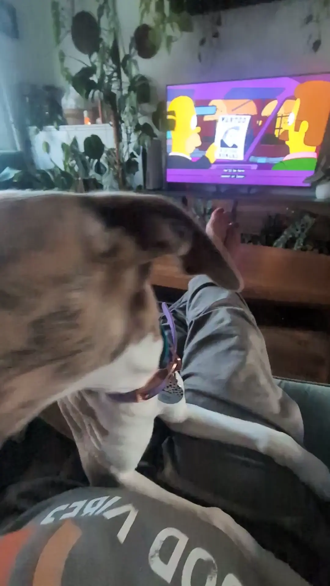 When the chomp keeps moving 