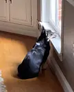 When the windowsill is just the right height. 