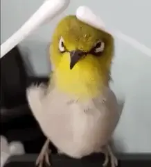 When they kick in
