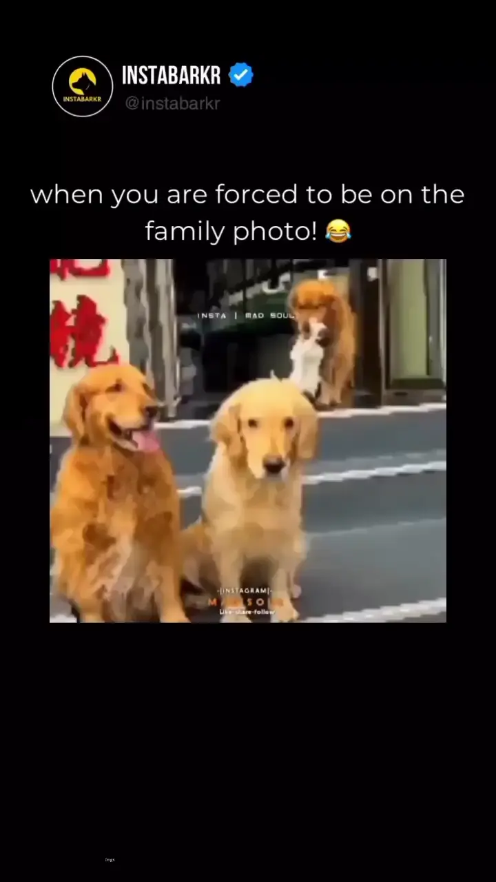 When you are forced to be on the family photo.