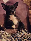 When you wake up after a good nap in another realm like dude... what the?
