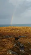Where is the pot of gold? :)