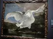 Which SWANS opinion has you in this position?