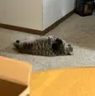 whys she laying like that