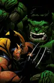 Wolverine VS Hulk by Ed McGuinness 