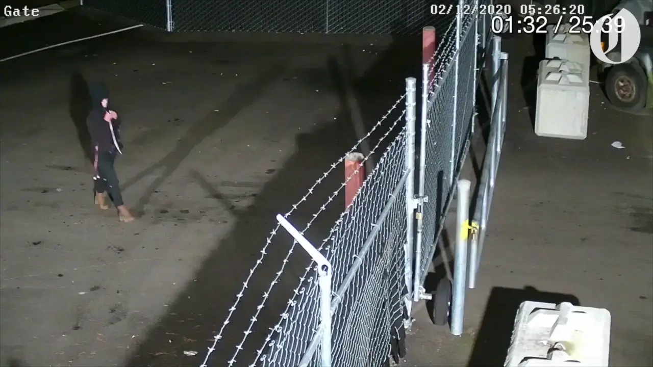 Woman steals truck from impound, nearly killing someone in the process.