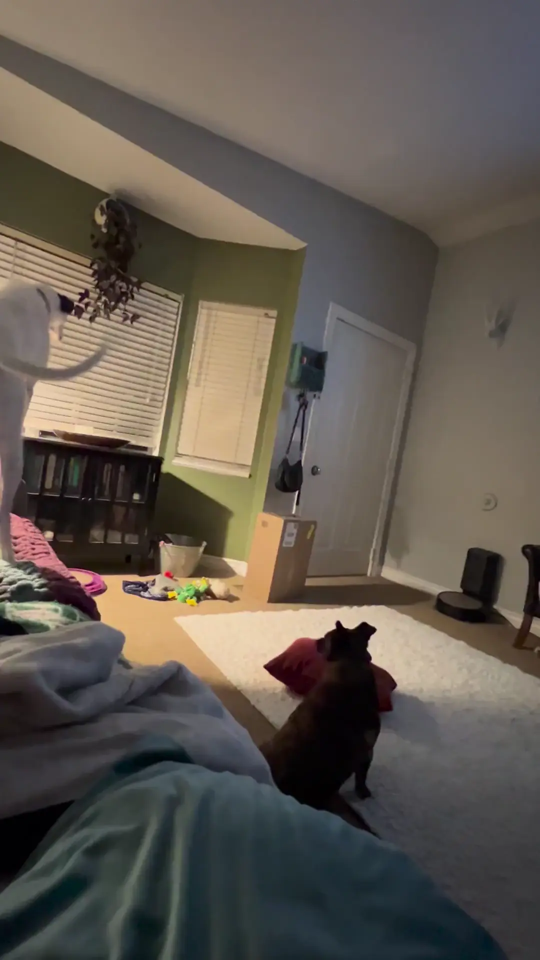 Wookie sounds for dad’s return