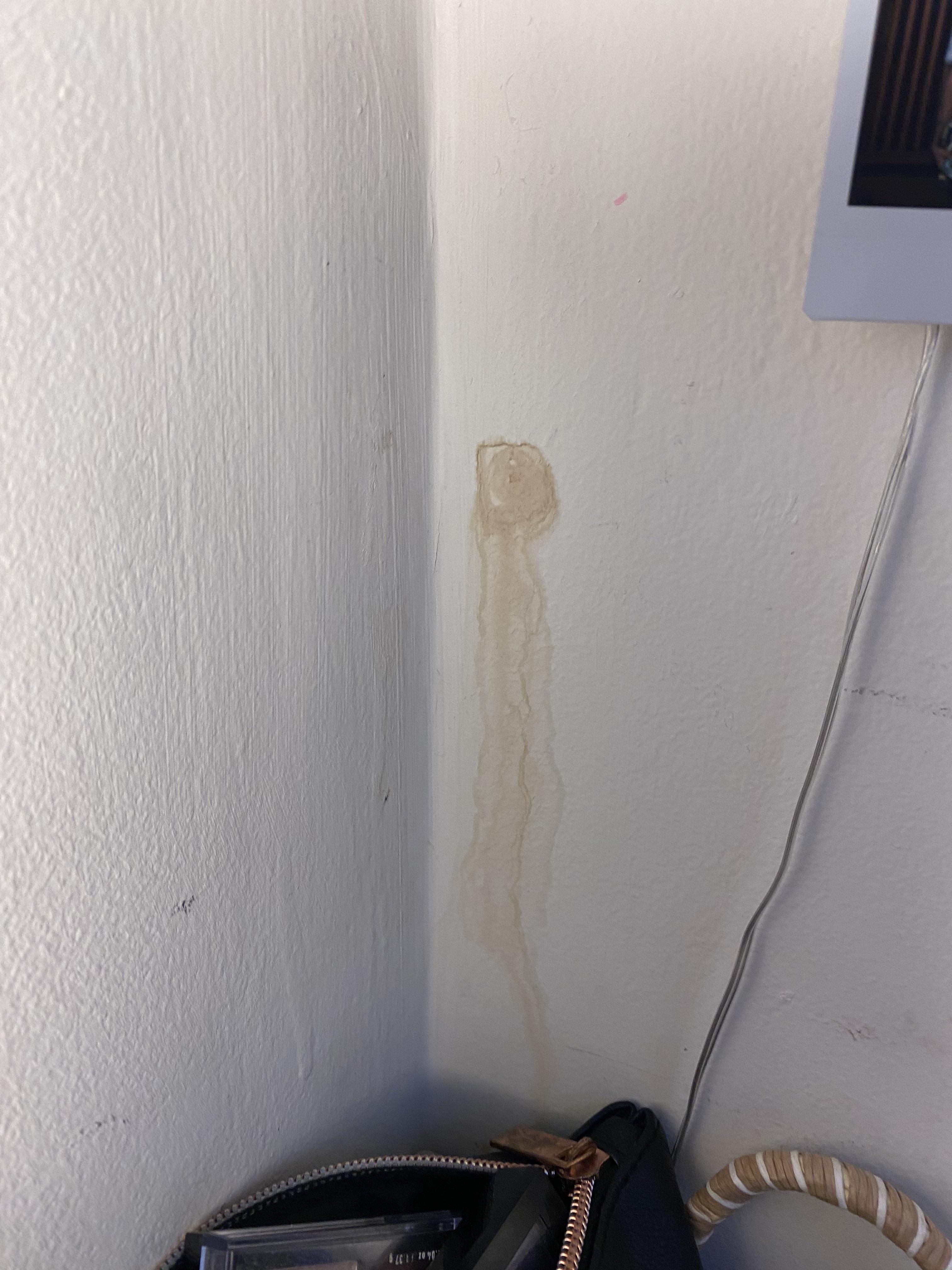 Has anyone ever seen this stain/spot before? I have no idea what it is ...