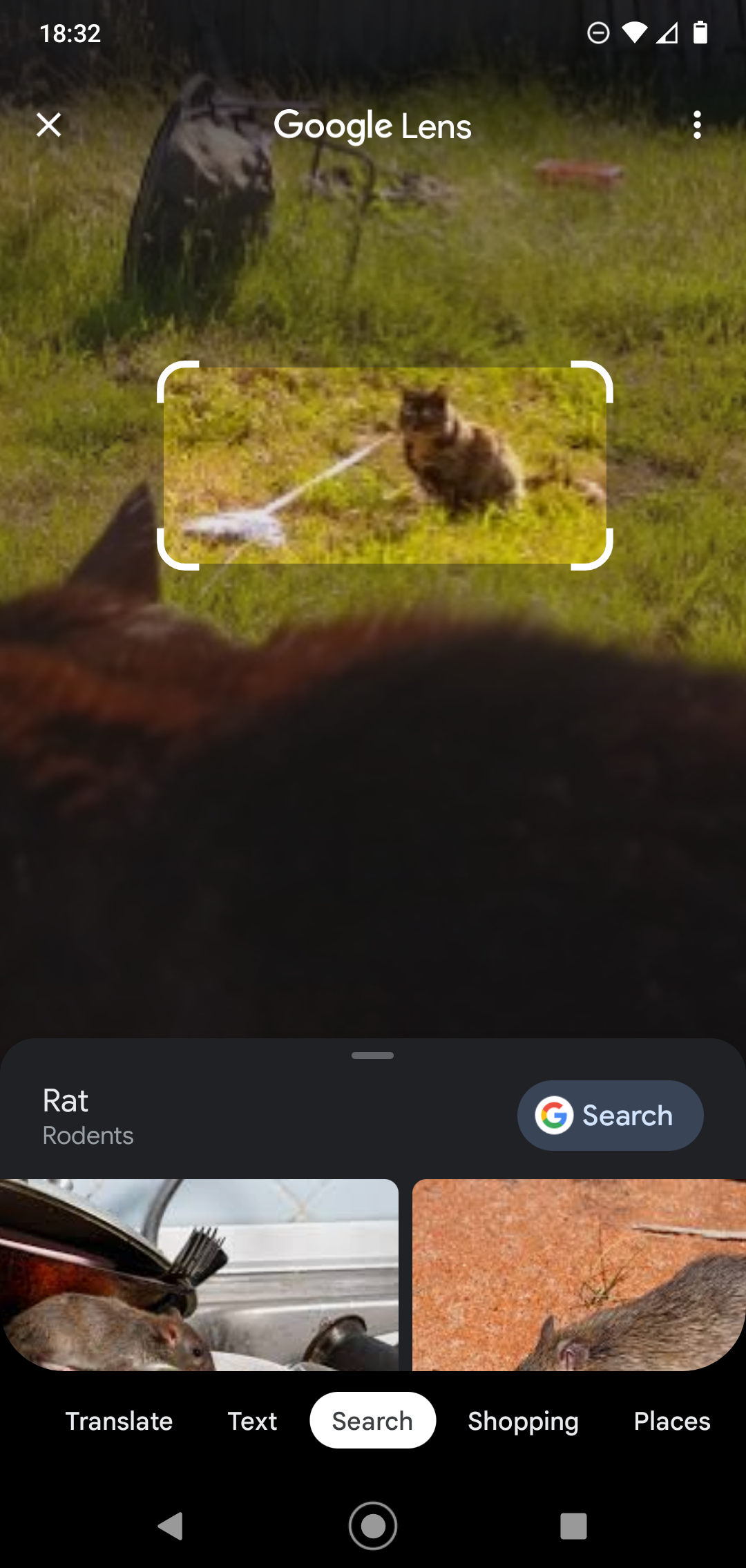 Nice try Google lens
