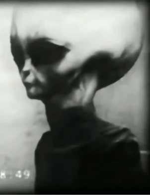 Discover more like SkinnyBob: You can see the shape of bob's right