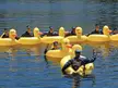 You've heard of Seal Team 6 but have you met super secret Rubber Ducky Team 8?