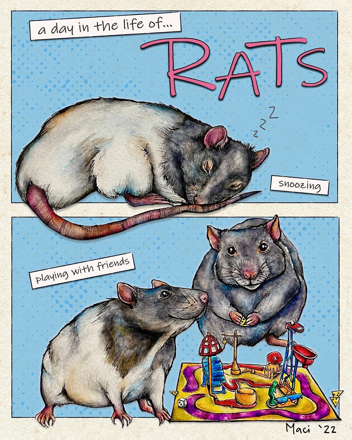 A Day in the Life of Rats I finally finished making my lil rat story. I ...