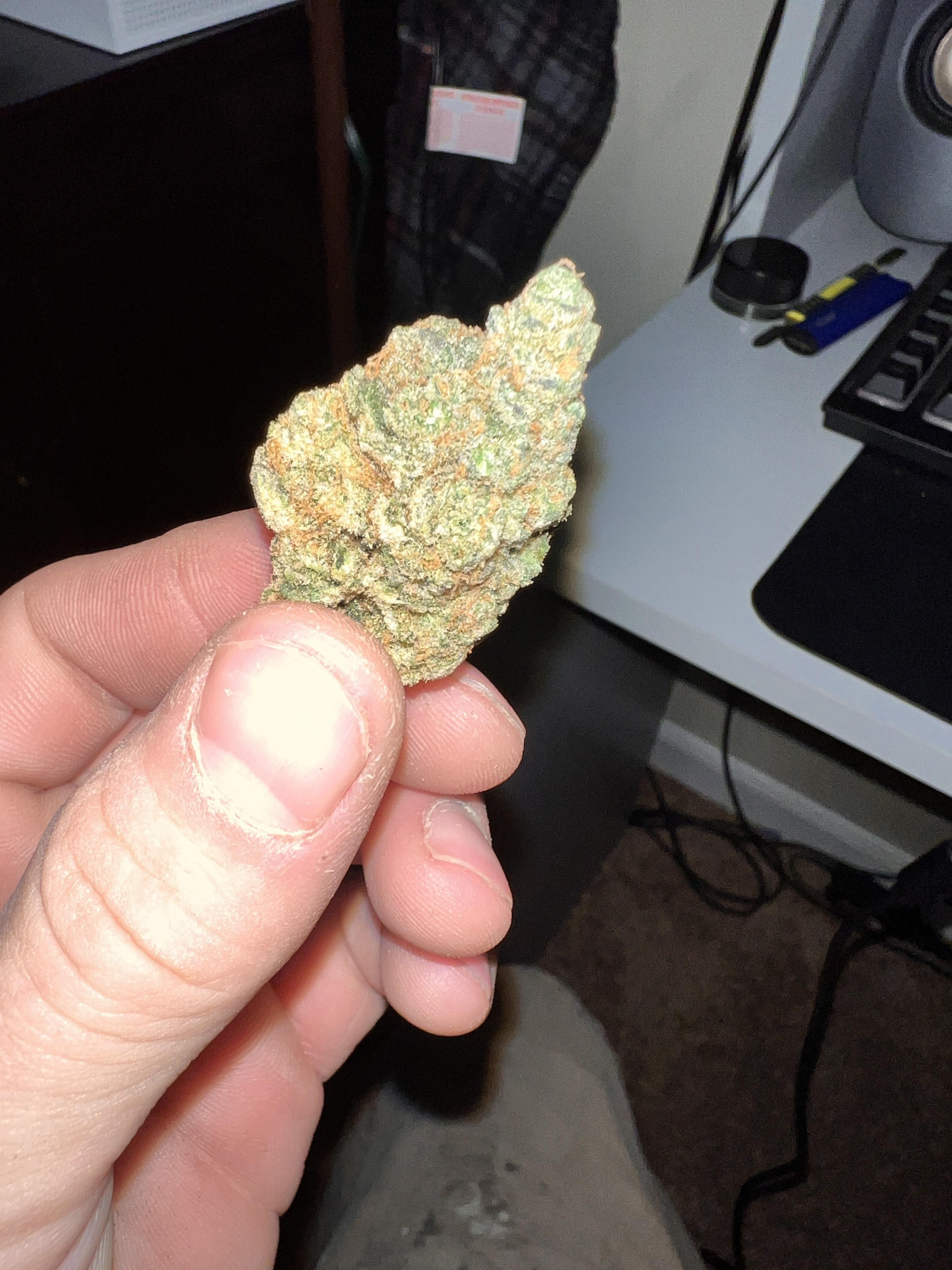 White man holding a cannabis bud for a wedding