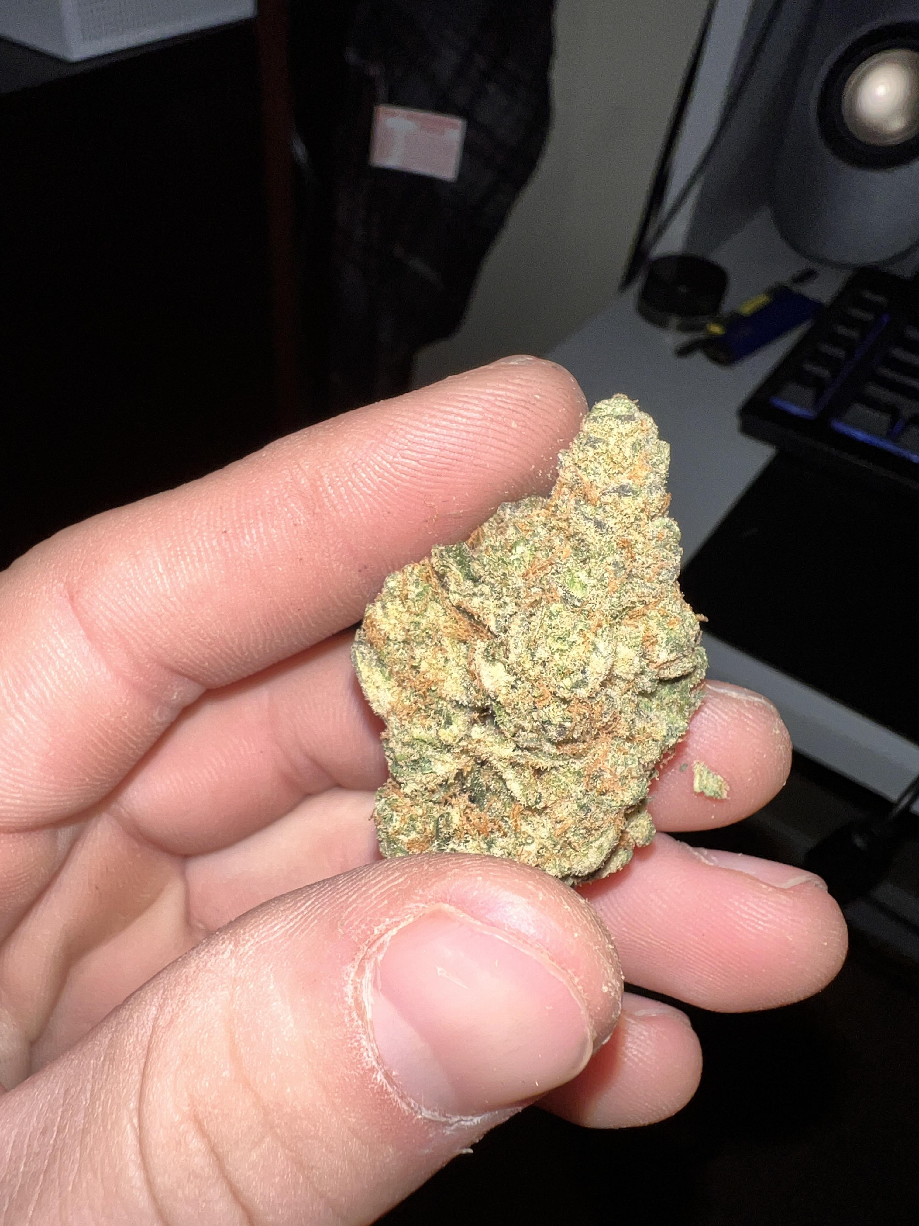White man holding a cannabis bud for a wedding