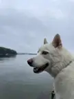 Zeus by the water