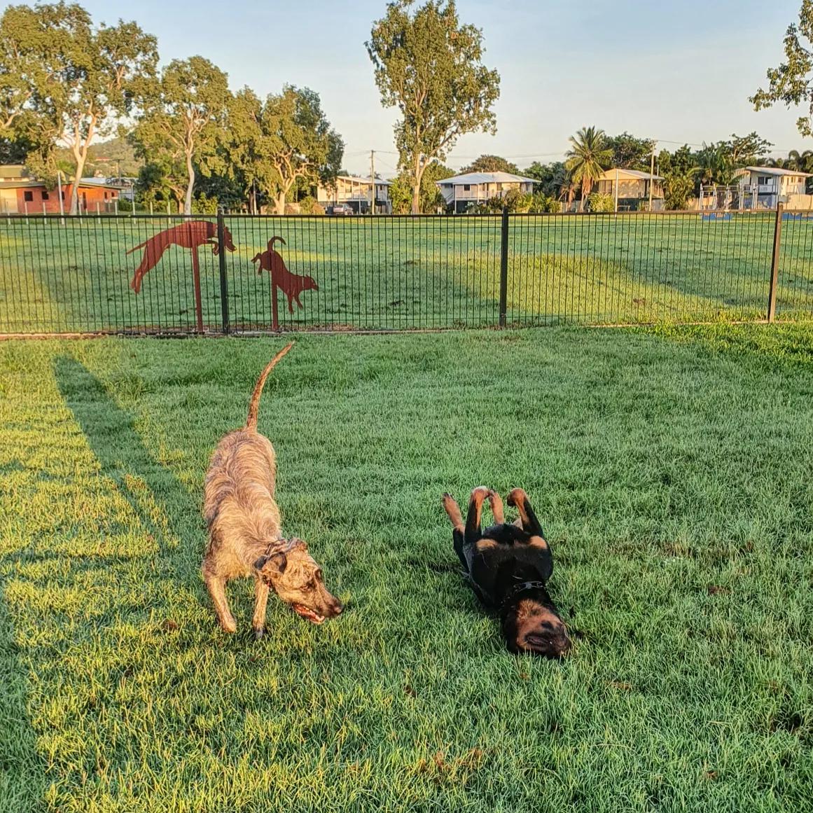 Two Rottweilers playing on a grassy lawn in front of a fence with metal dog silhouettes