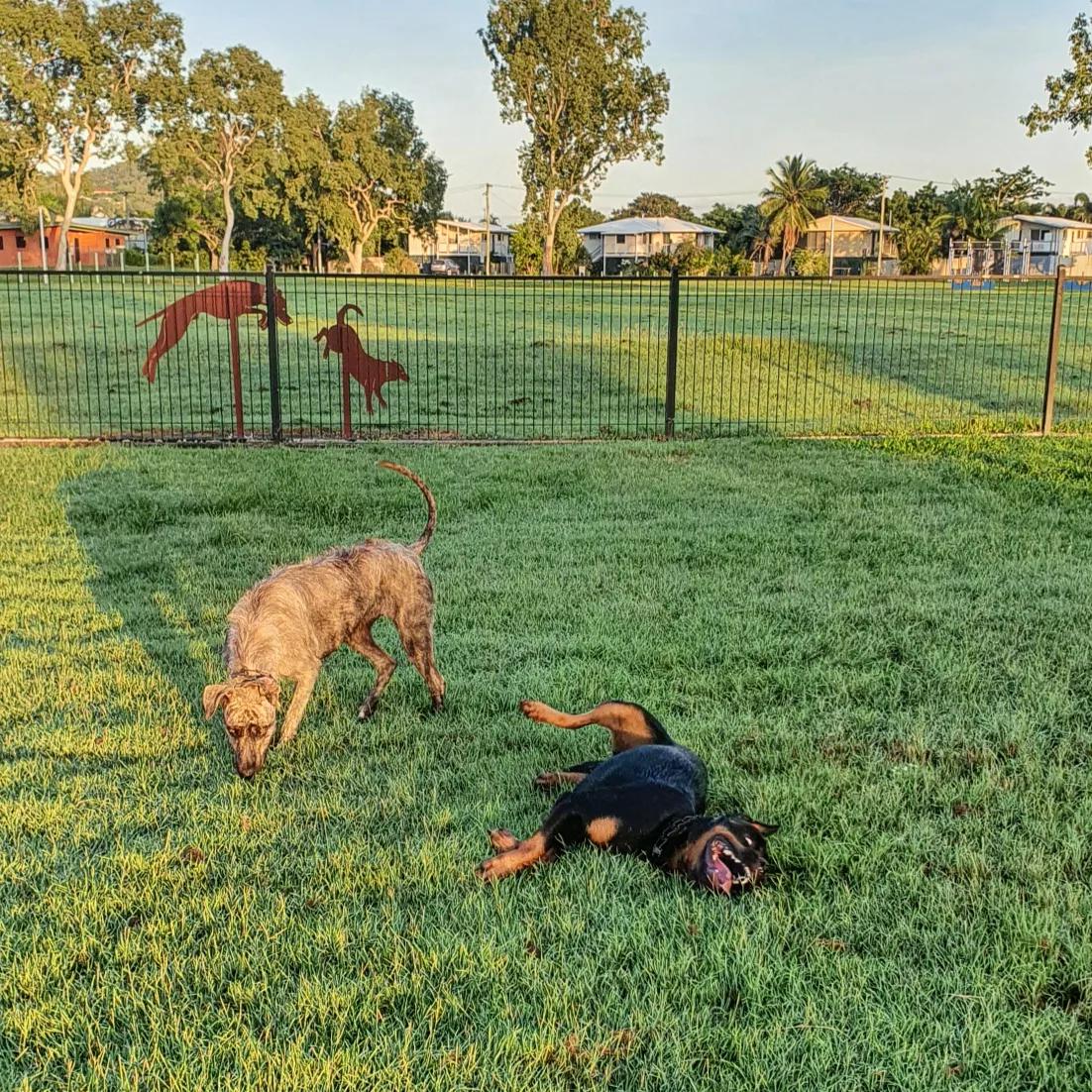 Fletcher back at his grass rolling antics