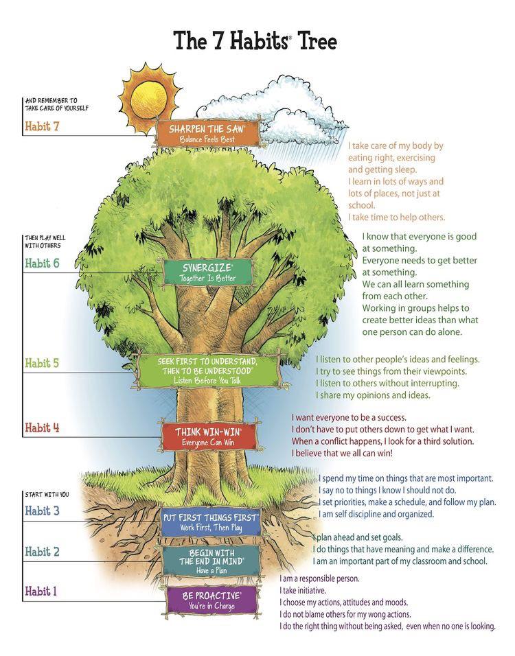 The Seven Habits Tree | Scrolller