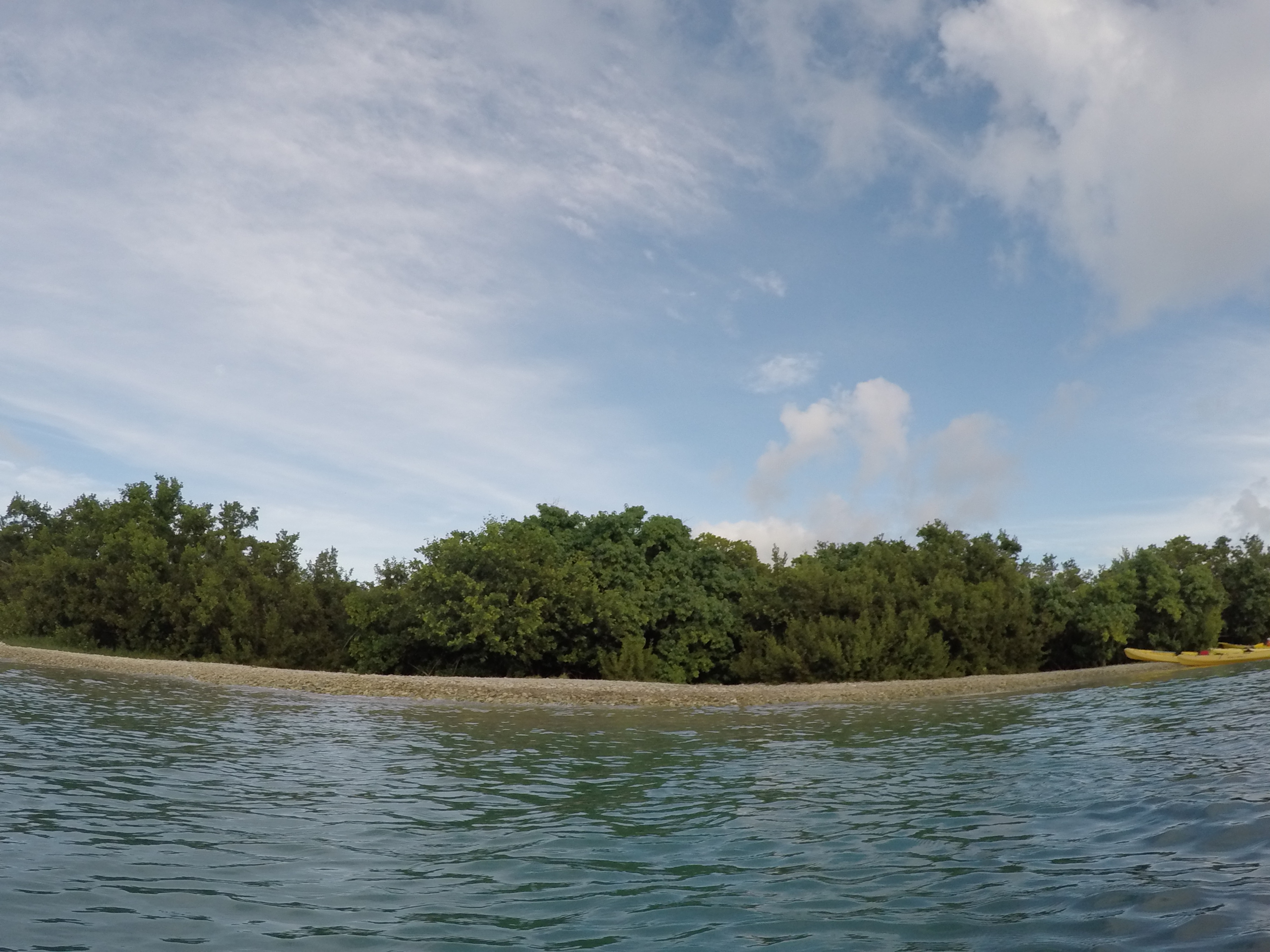 Cas Cay, 2014