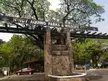 Entrance sign for Ninoy Aquino Parks & Wildlife Center with stone pillars and wooden beams under large trees