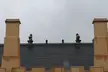 Forbidden City roof with dark grey slate, tan chimneys, and decorative statues under a cloudy sky