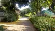 A sun-dappled paved path through Kdoshei Kahir park in Kfar Saba with flowering shrubs and a green fence.