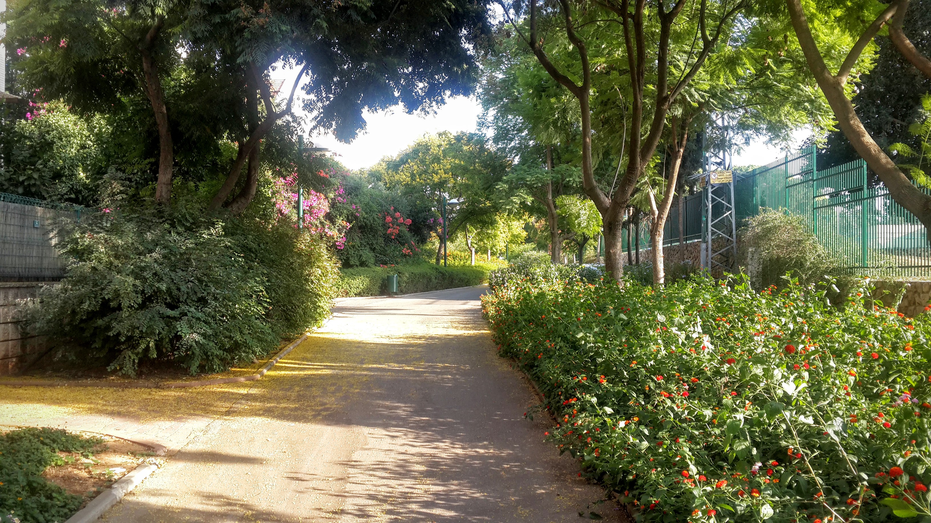 Kdoshei Kahir park in Kfar Saba.