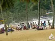 A group of people in swimwear and casual summer clothing relaxing on a tropical beach with palm trees and a hillside.