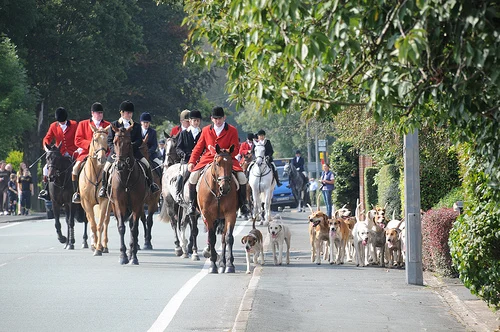 Travellers Rest - 2009